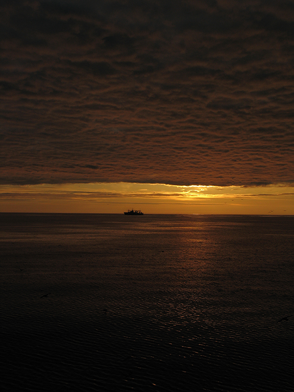 Ничтожность человеческого бытия