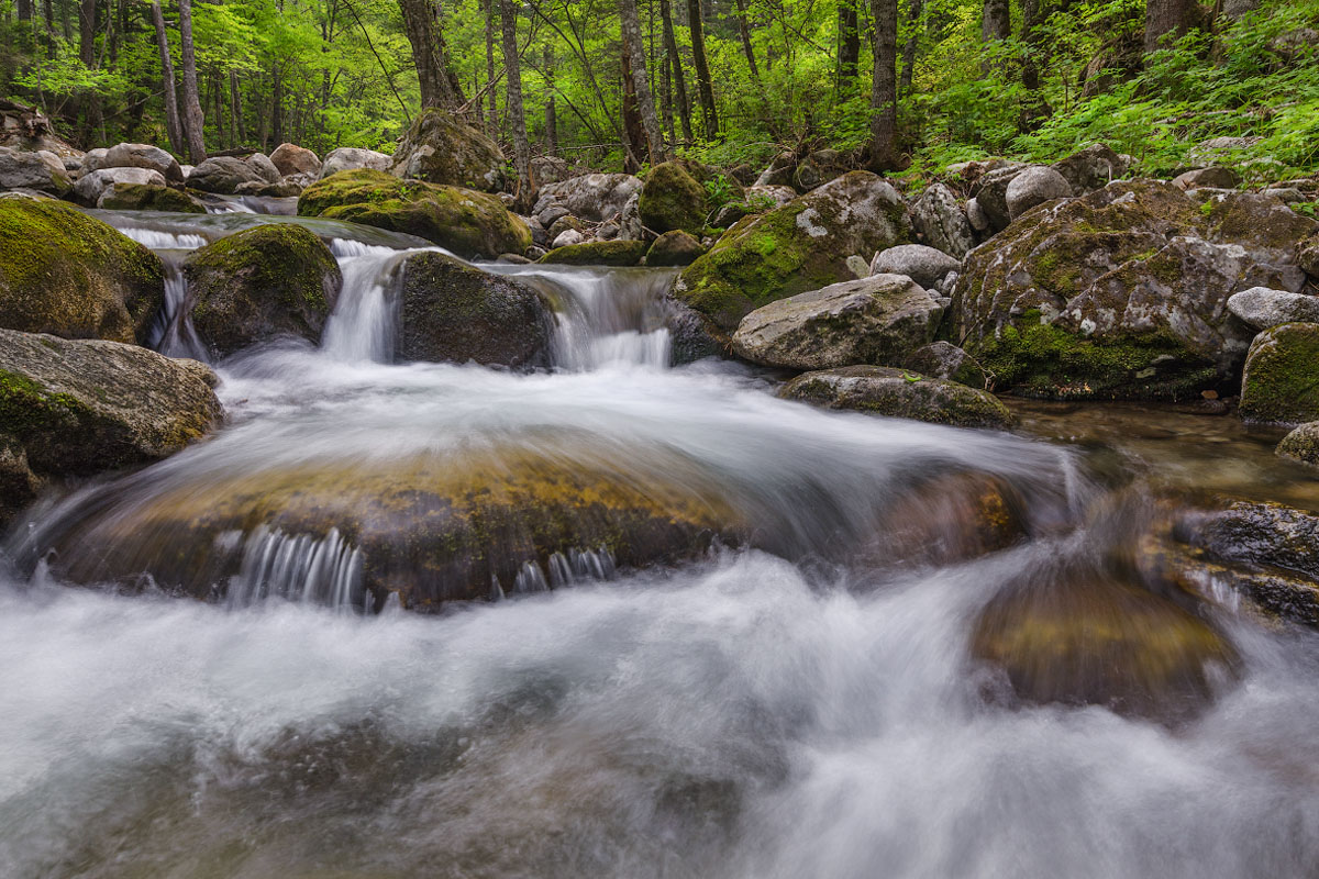 Бурлящий поток