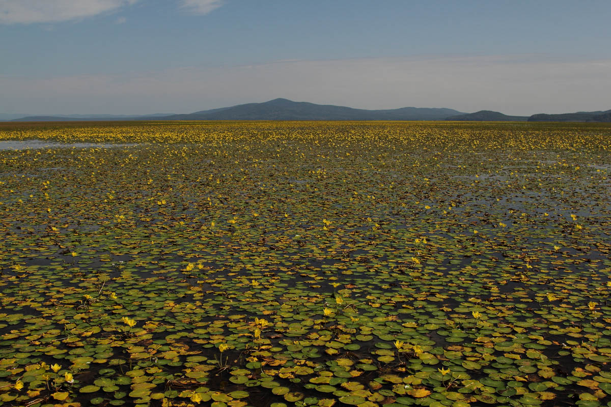 озеро Удыль