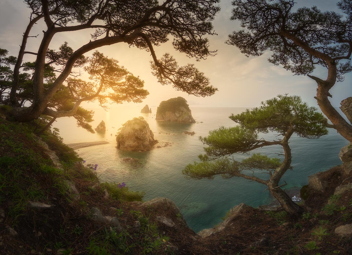 Заповедные мотивы