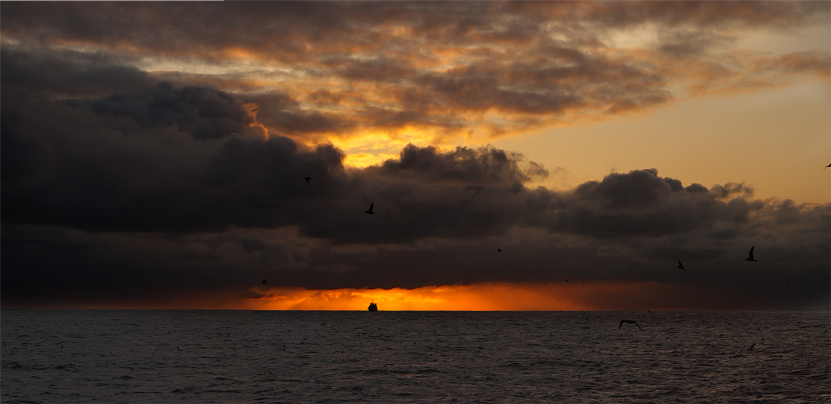 Одинокий рыбак.