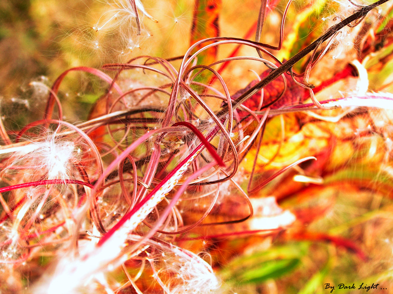 Что-то красивенькое и непонятное!?