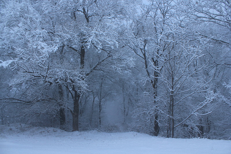 Дорга в никуда