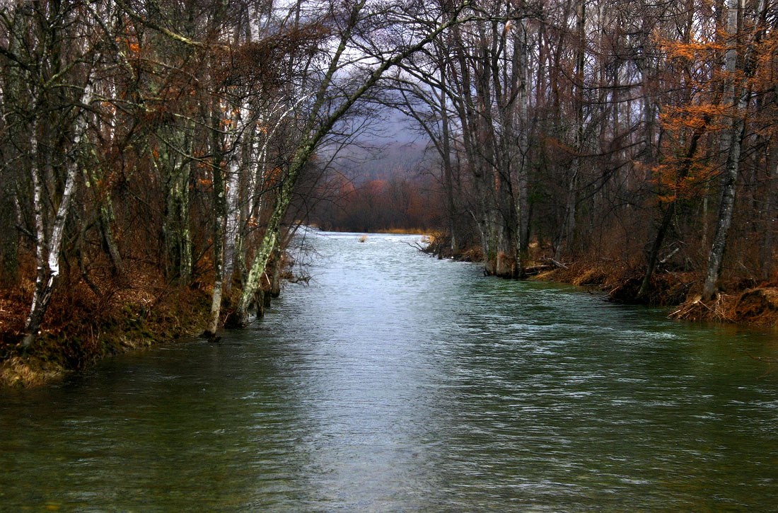 Черёмуховая река