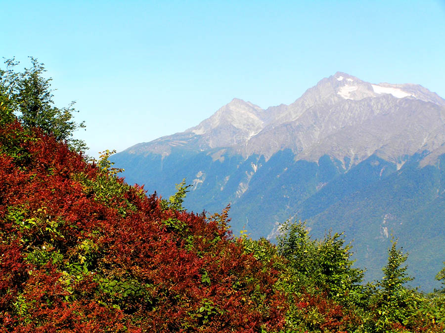 Красная поляна