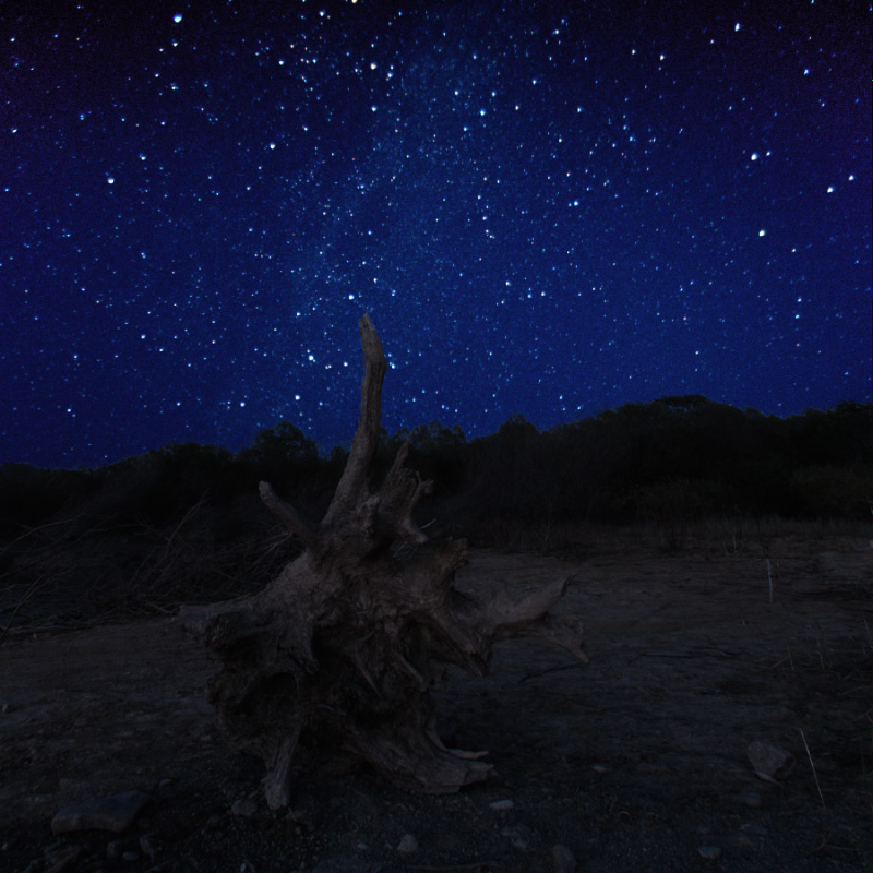 Ночной страж.