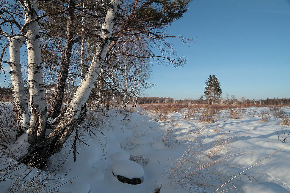 Зимний простор