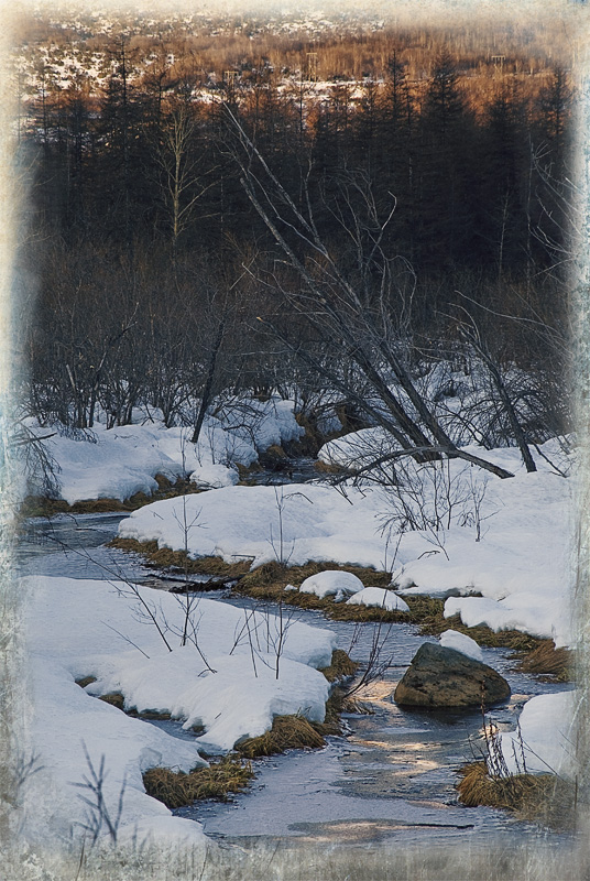 Но вот уж не бежит ручей, покрытый сединою снежной…