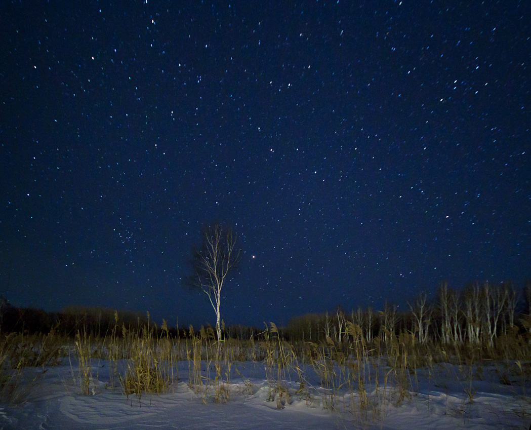 Во поле березка ночевала...