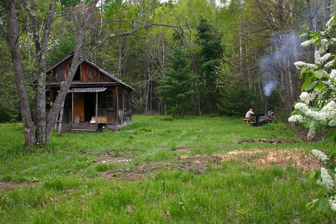 Майским вечером в тайге