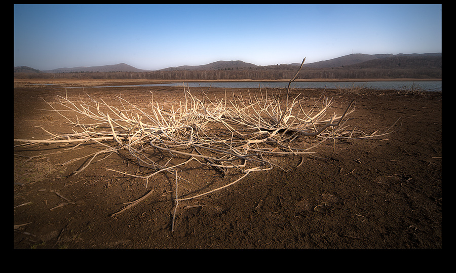 Берег озера