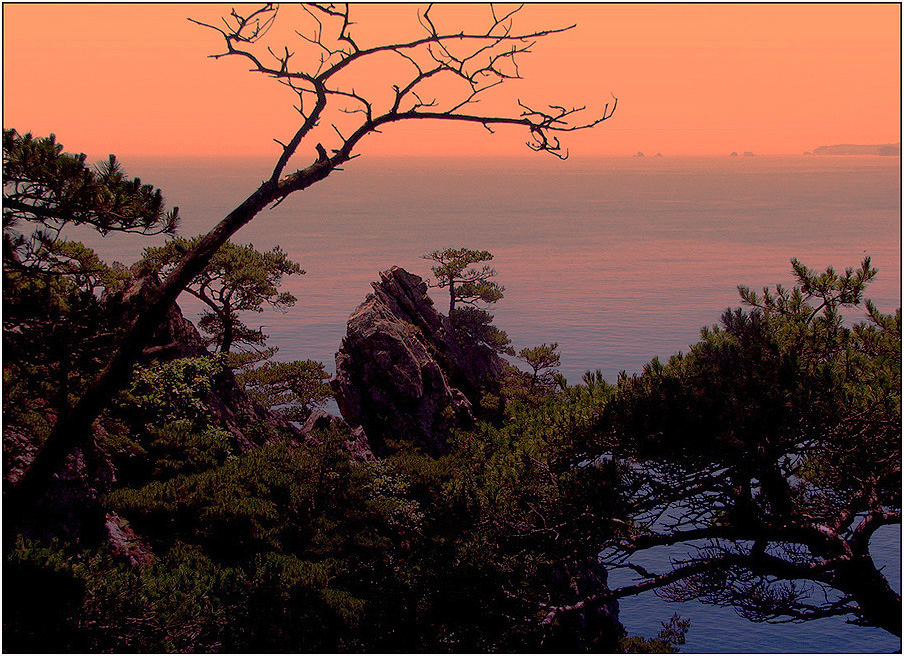 Я тоже была..