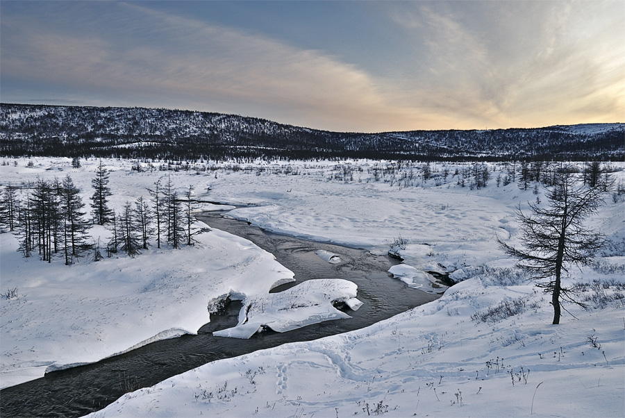 Стынет речка зимняя, зеркалом беды...