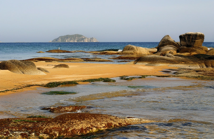 Поиморские цветосочетания