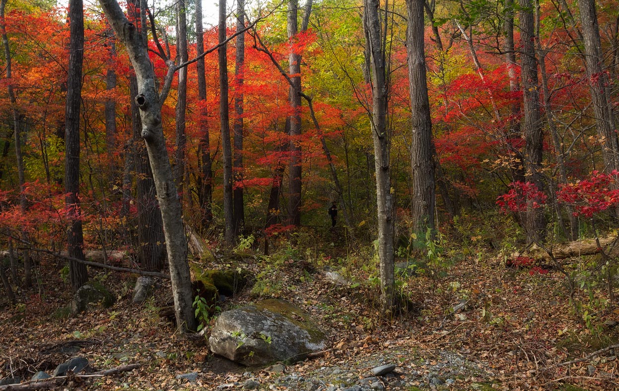 осенние прогулки