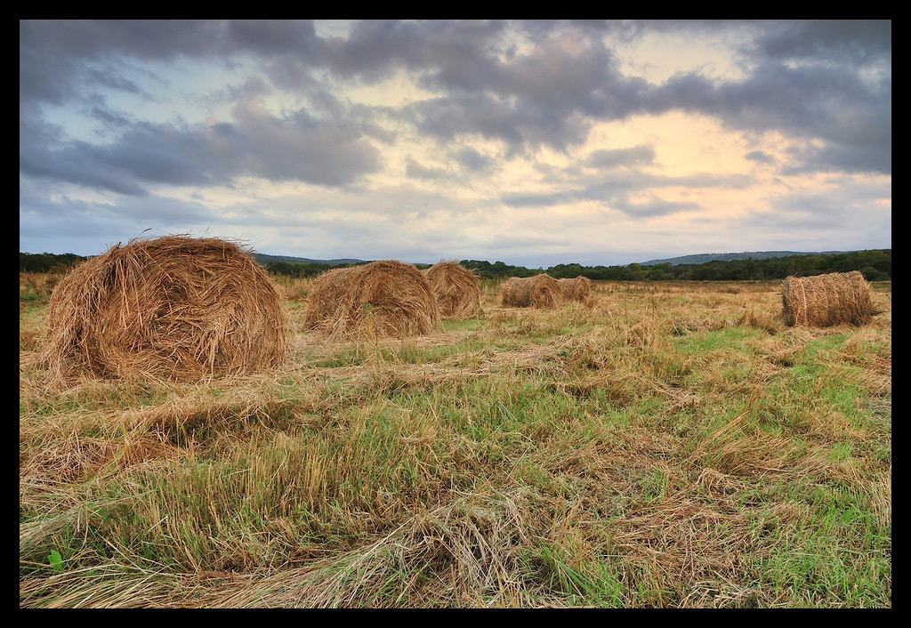 унылая пора, очей очарованье...