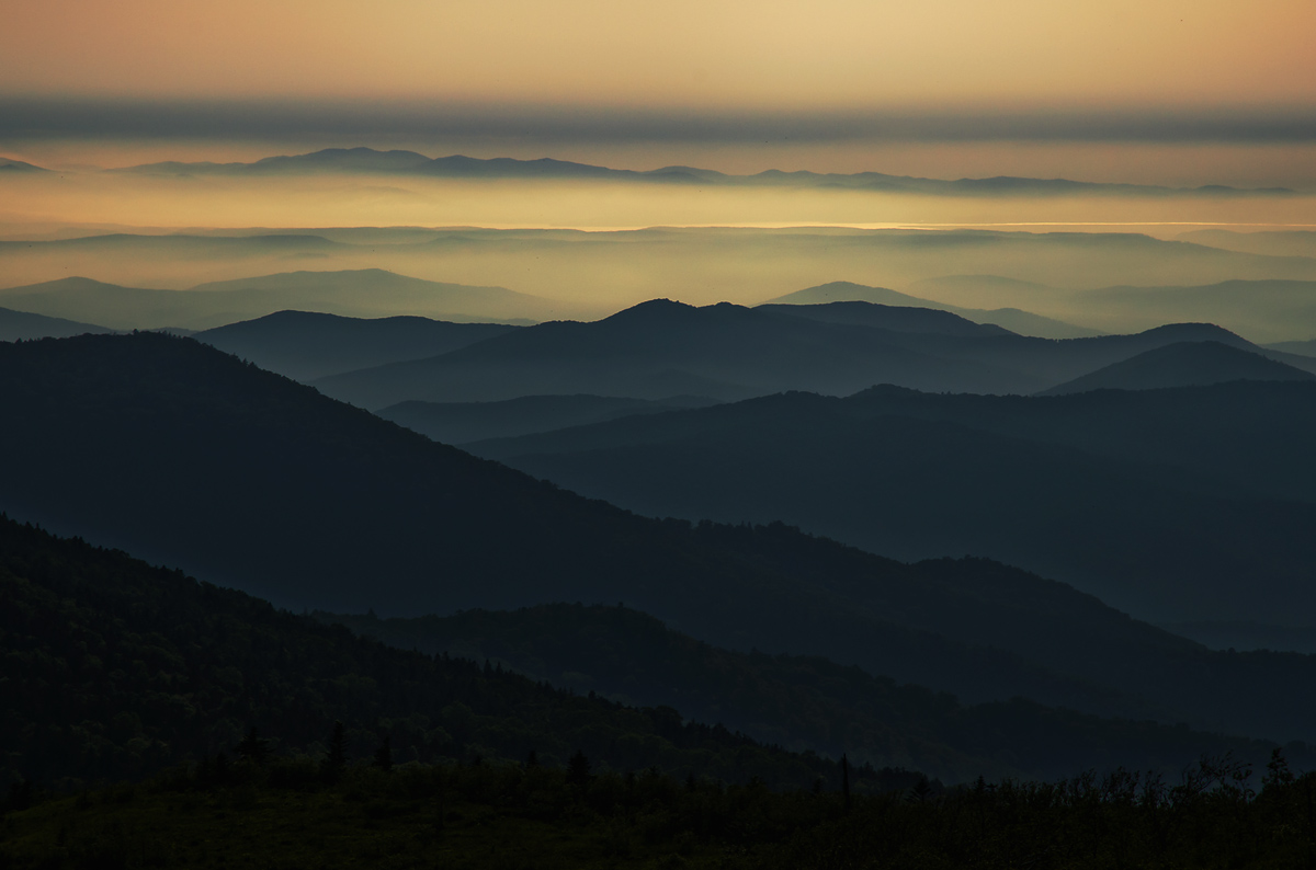 "Дали дальние"