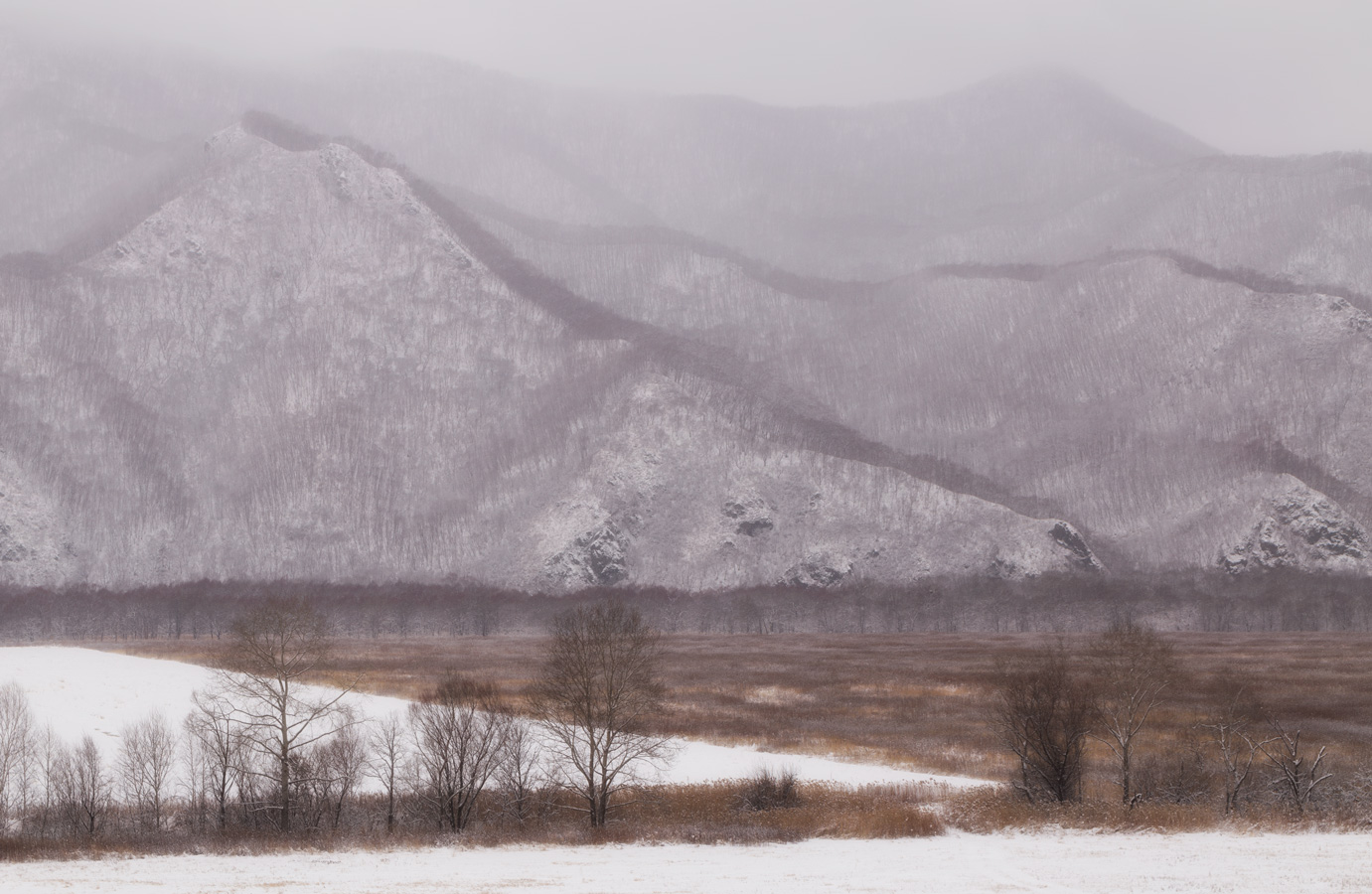 белые поля 2