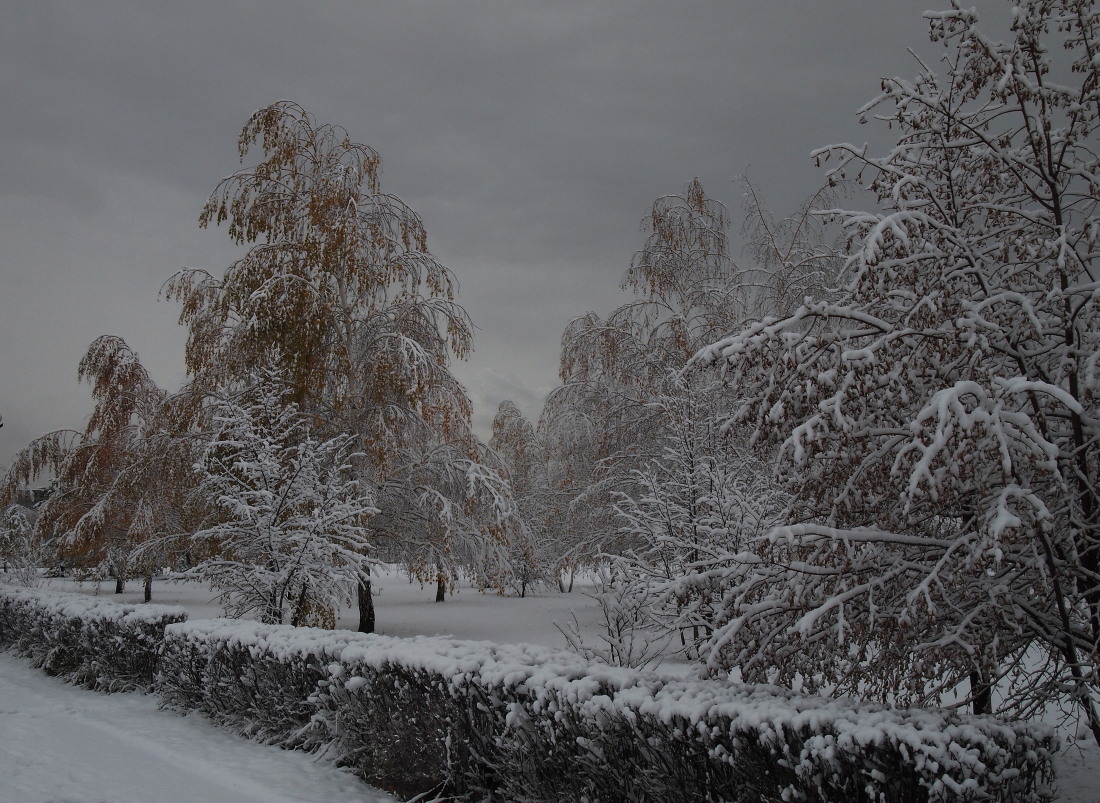 Первый снег