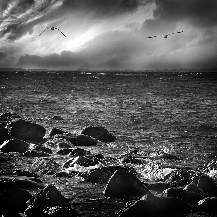 разлетались тут...