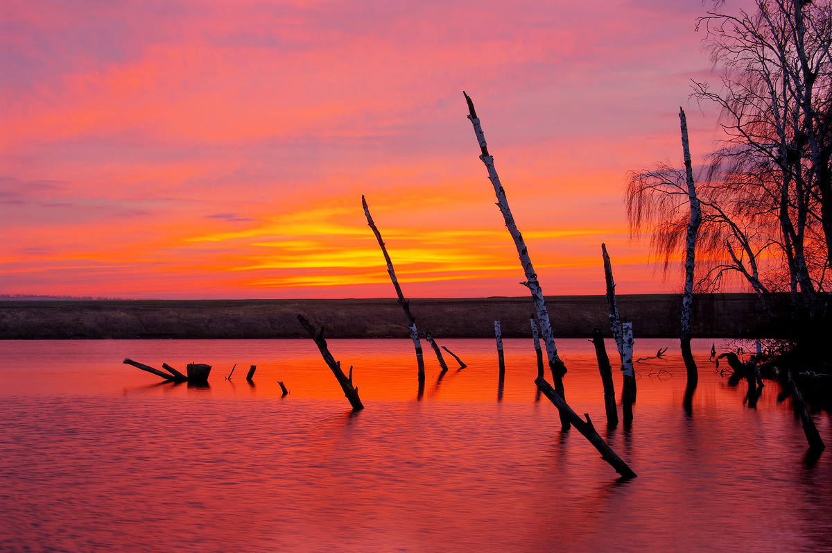 Струил рассвет последний свой багрянец...