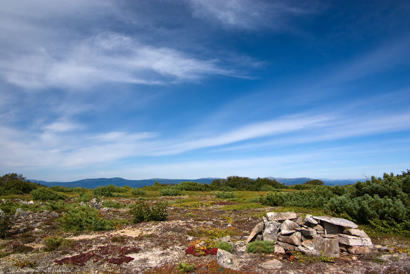 Колымская природа