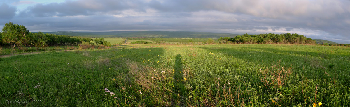 автопортрет :)