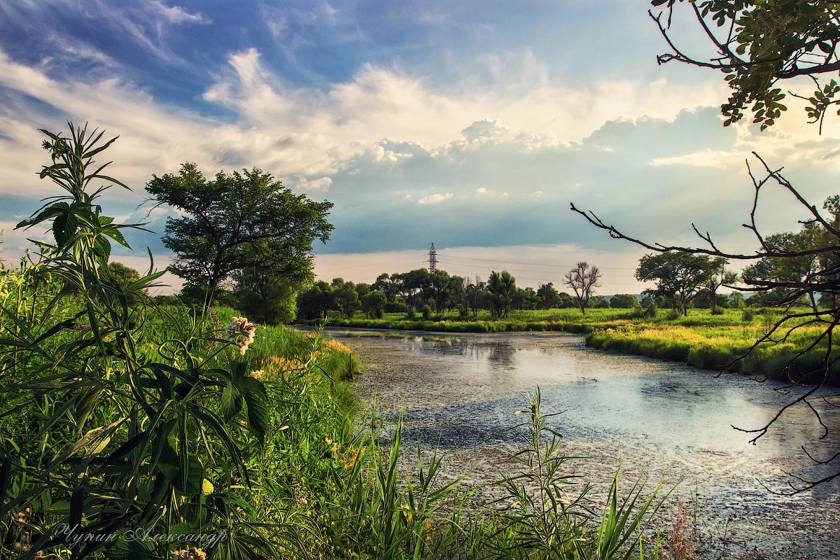 Болото на закате