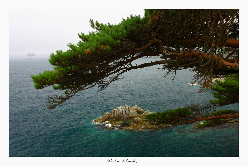 Заповедники Приморского края.