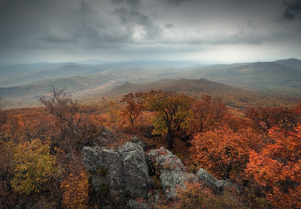 такая разная осень...