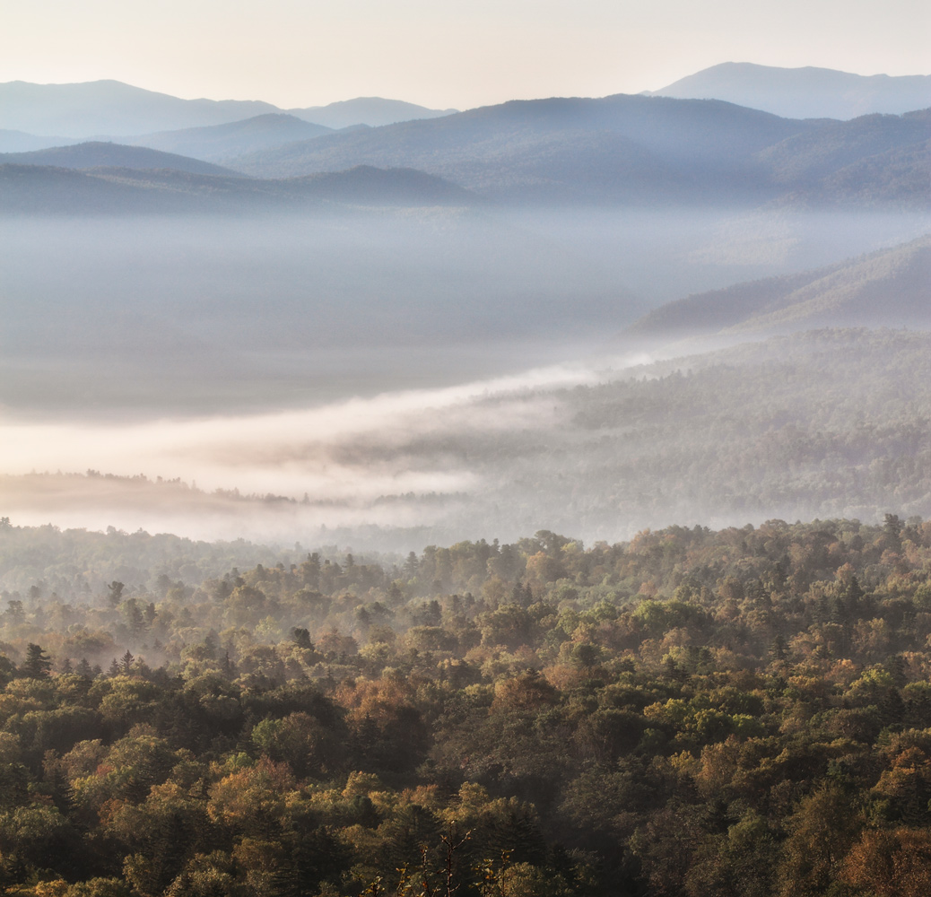 Уссурийская тайга