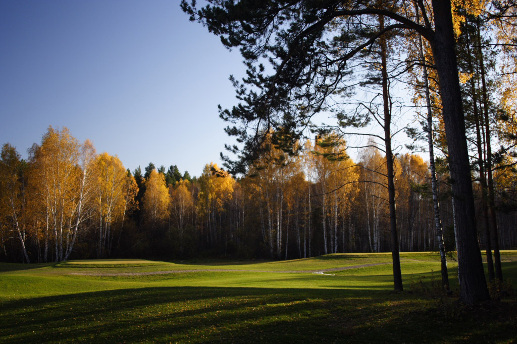 Аристократическая осень