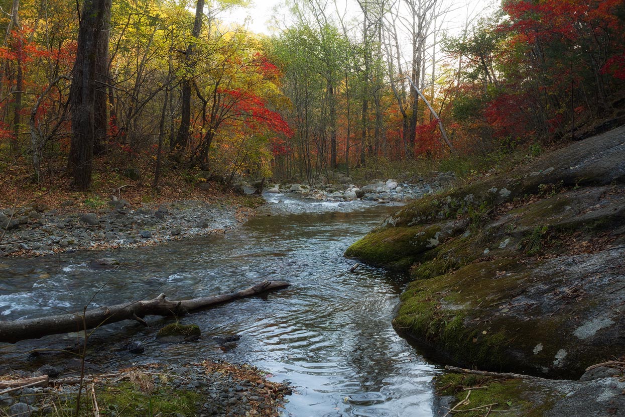 осень в Чистоводном 2