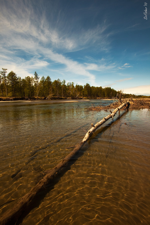 ...пока хариус не клюет