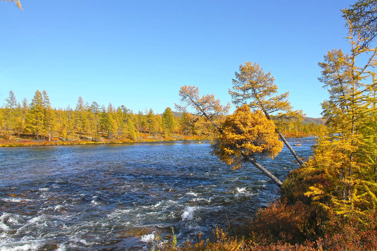 Ведьмин шар?!