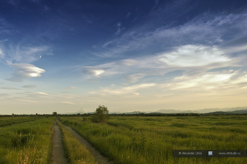 Луговая дорога