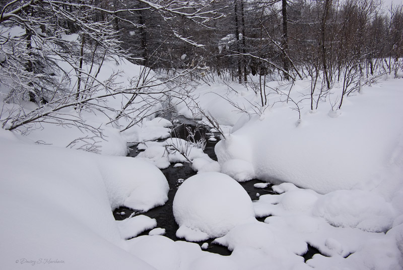 ручейки Снежной Долины...