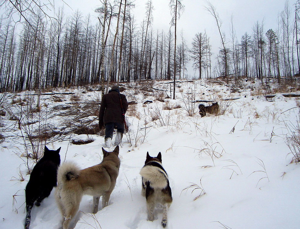 Трудный перевал