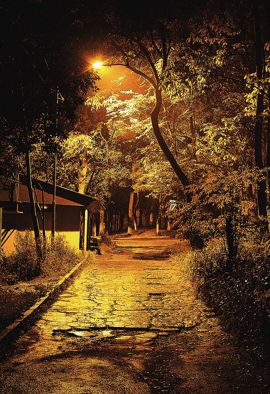 Ночной дождь