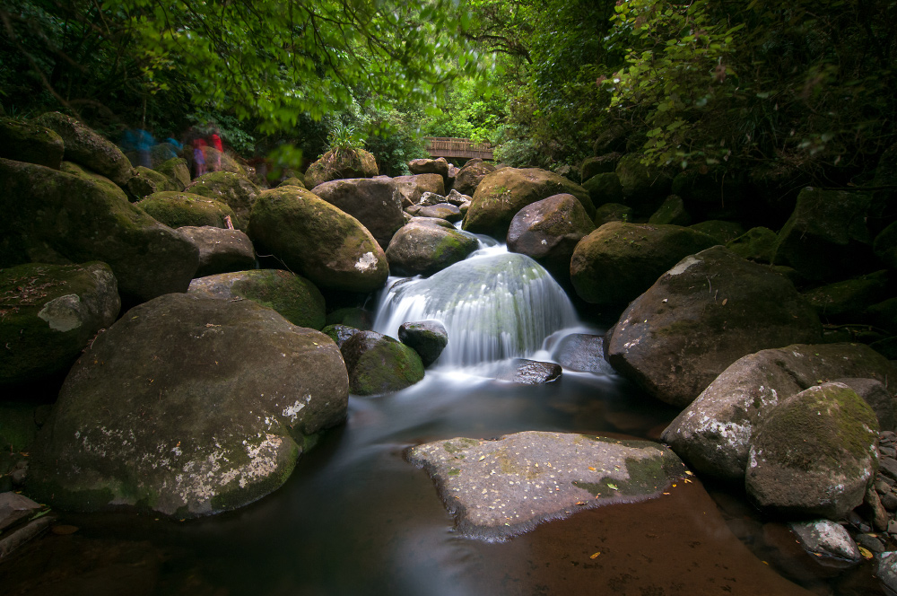 Групповой портрет китайских туристов