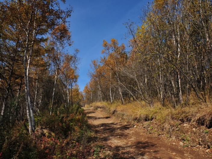 Осень золотая