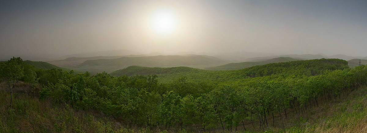 пылевая буря