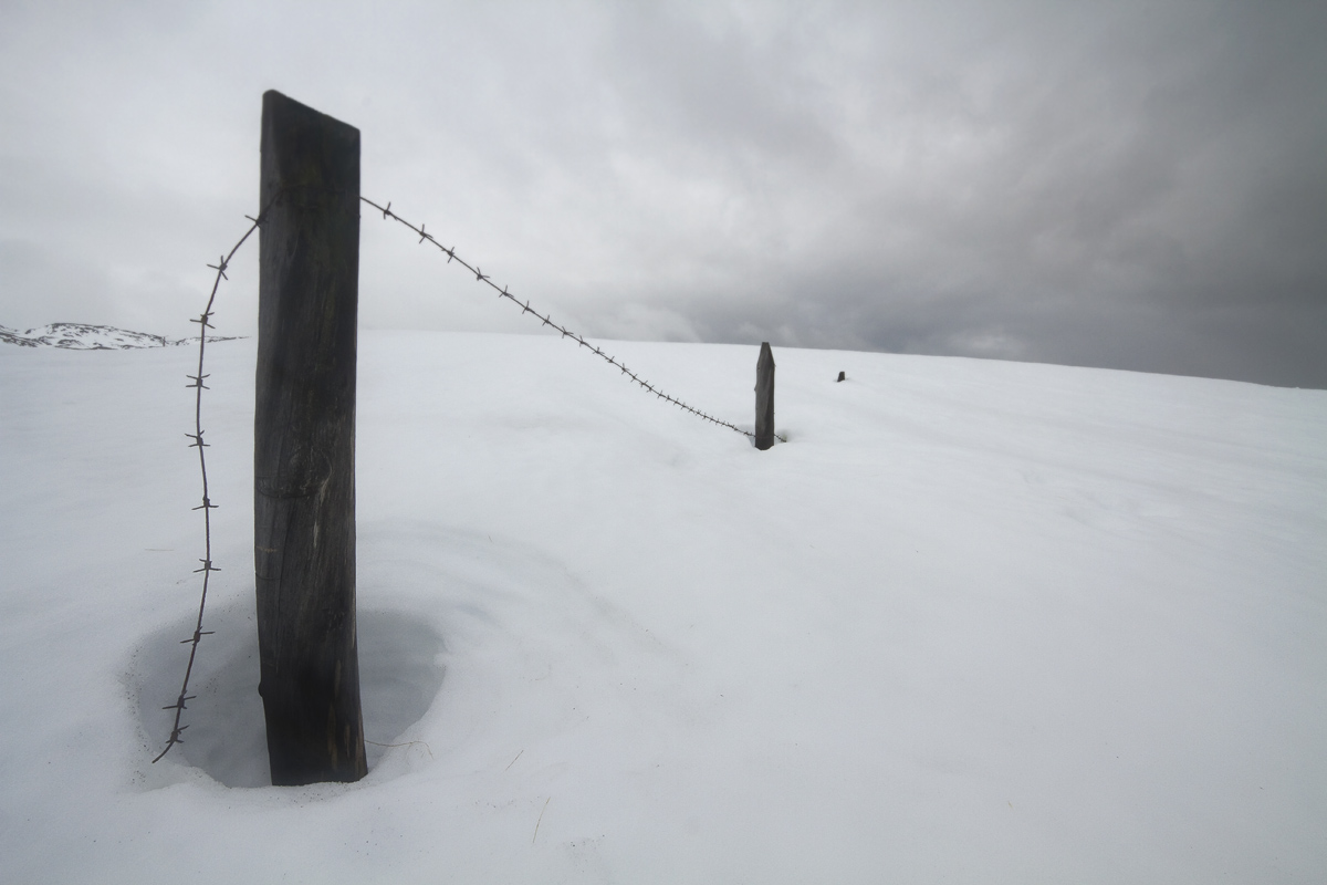 Территория зимы