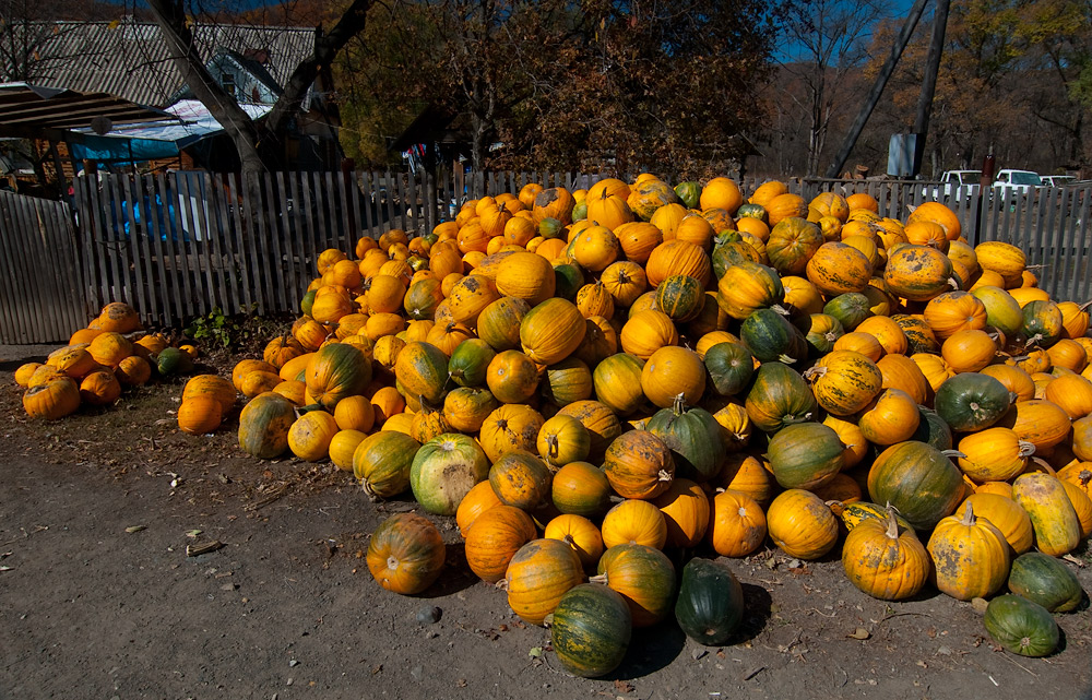 По тыкве...