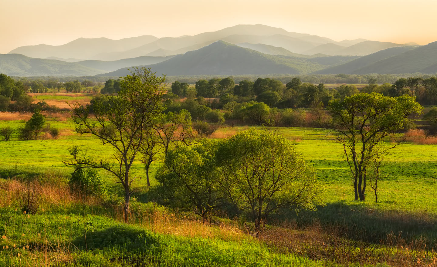 зелёный рай