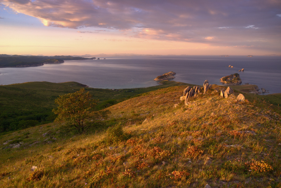Про нежный, вечерний свет