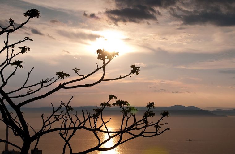 Пастельное настроение