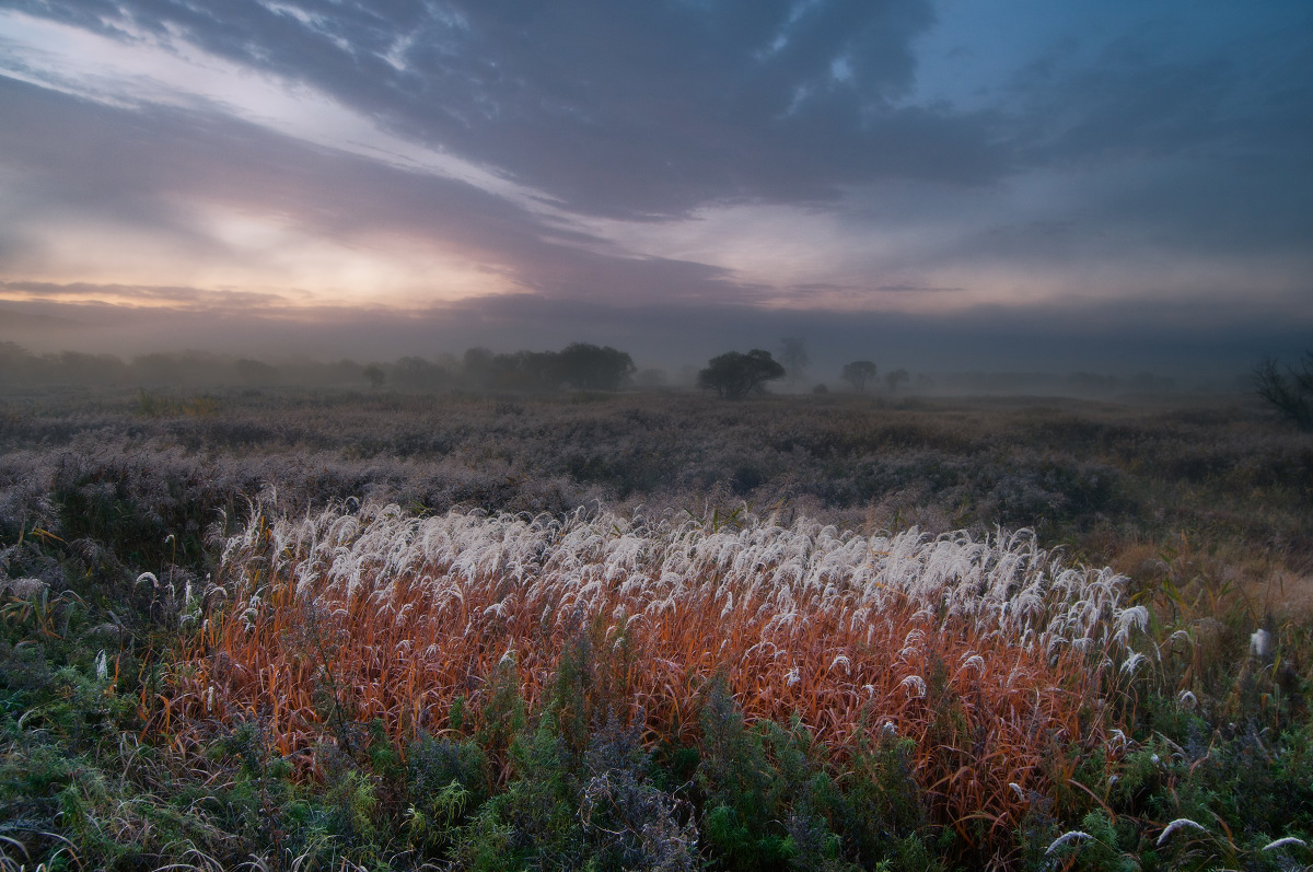 Туманное утро2