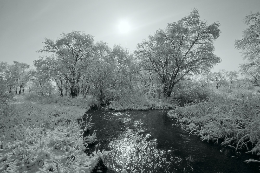 апрельская (3)