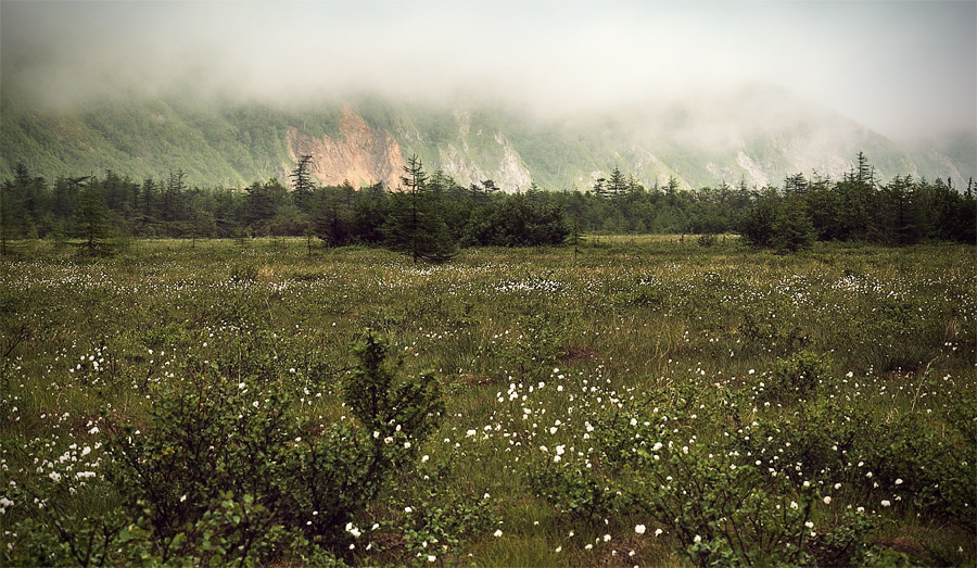 Под натиском тумана